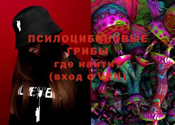 молекула духа Данков