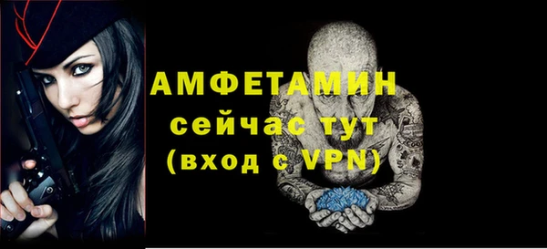 крисы Дедовск