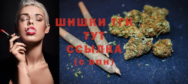 шишки Алзамай